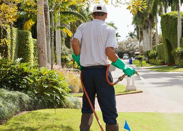 About Cottonwood MN Pest Control Pros